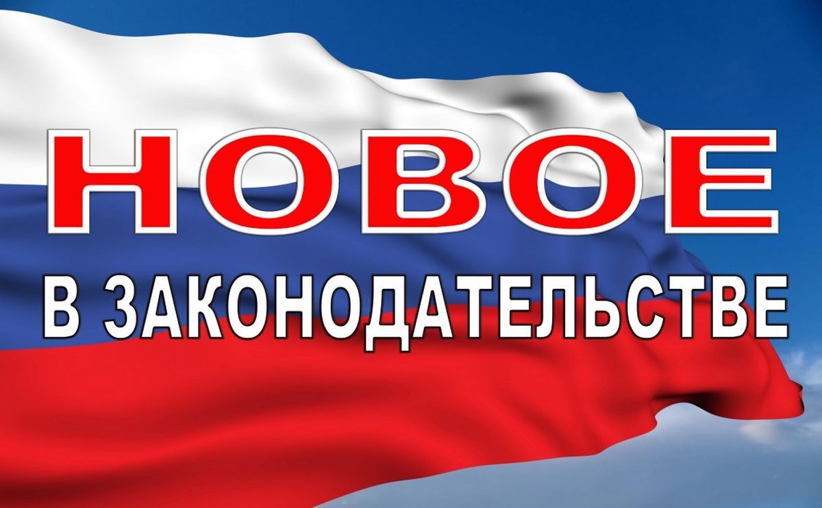 Обзор законодательства за ноябрь 2024 г.
