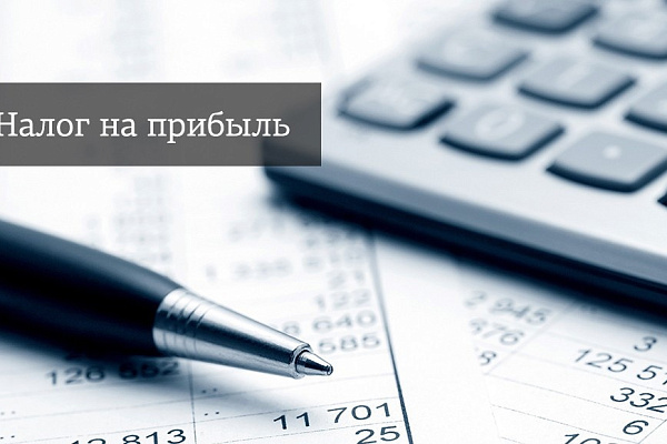 Налог на прибыль: технология составления декларации за 2023 г. Сложные вопросы и важные изменения 2024 г.